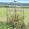 Steel Round Fruit Cage