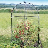 Steel Round Fruit Cage