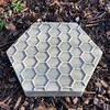 Stepping Stone Insect Drinker