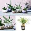 Stone Plant Container - 18cm