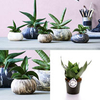 Stone Planter -13cm