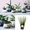Stone Planter -13cm