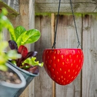 Strawberry Design Flower Pot