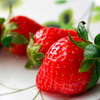 Strawberry Plant - Buddy