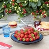 Strawberry Plants - F1 Delizz®