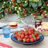 Strawberry Plants - F1 Delizz®