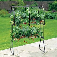 Strawberry Table Top - Matt Black