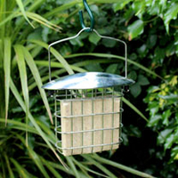 Suet Cake Pack of 6 and Deluxe Suet Cake Feeder Combo
