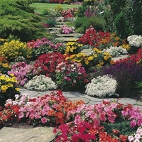 Summer Bedding Our Selection