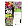 Summer Bulb Collection