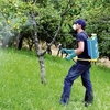 Super Green 16 Knap Sack Sprayer