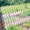 Superior Fruit Cage Net - 4m x 30m