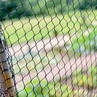 Superior Fruit Cage Net - 4m x 30m