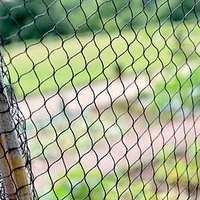 Superior Fruit Cage Net