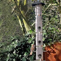 Supersized Bird Feeder