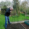 Support Frame Kit Bean Wigwam