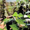 Supporting Net - PICK and MIX