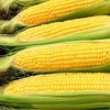 Sweet Corn Moonshine