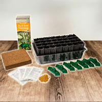 Sweet Pea Success Kit