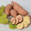 Sweet Potato Makatea