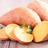 Sweet Potato Plants - Beauregard