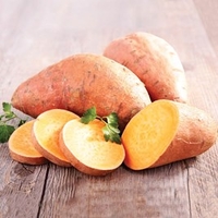 Sweet Potato Plants - Beauregard