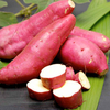 Sweet Potato Plants - Murasaki