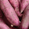 Sweet Potato Plants - Murasaki