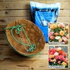 Teardrop Hanging Basket Begonia Kit - Cream