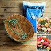 Teardrop Hanging Basket Begonia Kit