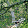 Telescopic Pole Lopper and Pruning Saw