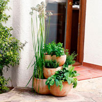 Terracotta Floor Plant Pot