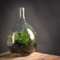 Terrarium Bottle 15L
