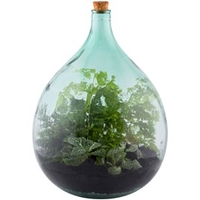 Terrarium Bottle 35L