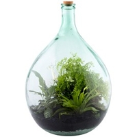Terrarium Bottle 55L