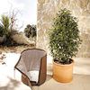 Thermoplus Pot Cover