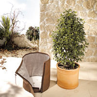 Thermoplus Pot Cover