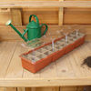 Three Jiffy 20 Strip Windowsill Propagator