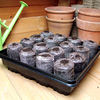 Three Jiffy 7 Vegetable Windowsill Propagators