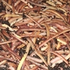 Tiger Worms