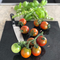 Tomato Grafted Plants - Ruby Falls