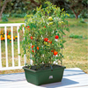 Tomato Growing Garden Success Kit,  Trolley,  Extension Kit
