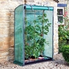 Tomato Grozone