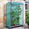 Tomato Grozone