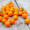 Tomato Plant - F1 Sungold