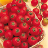 Tomato Plants - F1 Cherry Belle