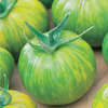 Tomato Plants - Green Zebra