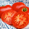 Tomato Plants - Russian Rose