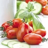 Tomato Plants - San Marzano 2