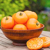 Tomato Plants - Tangerine